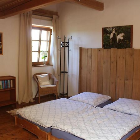Spring-Hof Apartment Oberostendorf Екстериор снимка